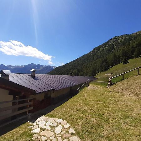 Restor Natura Malga Mondent Hotel Pracorno di Rabbi Exterior photo